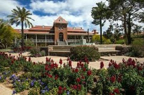 University of Arizona
