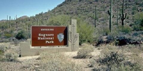 Saguaro National Park