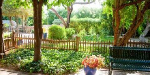 Tucson Botanical Gardens