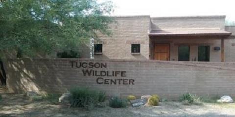 Tucson Wildlife Center