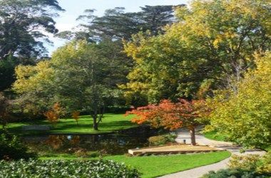 Afbeelding van locatie