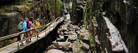 弗兰肯尼亚诺奇州立公园