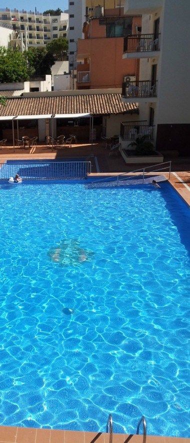 Изображение места проведения