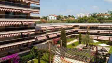 Les Strelitzias en Juan-Les-Pins, FR