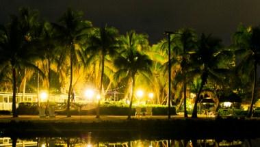Coconut Palm Inn image