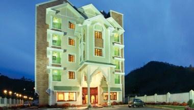 The Silver Tips image