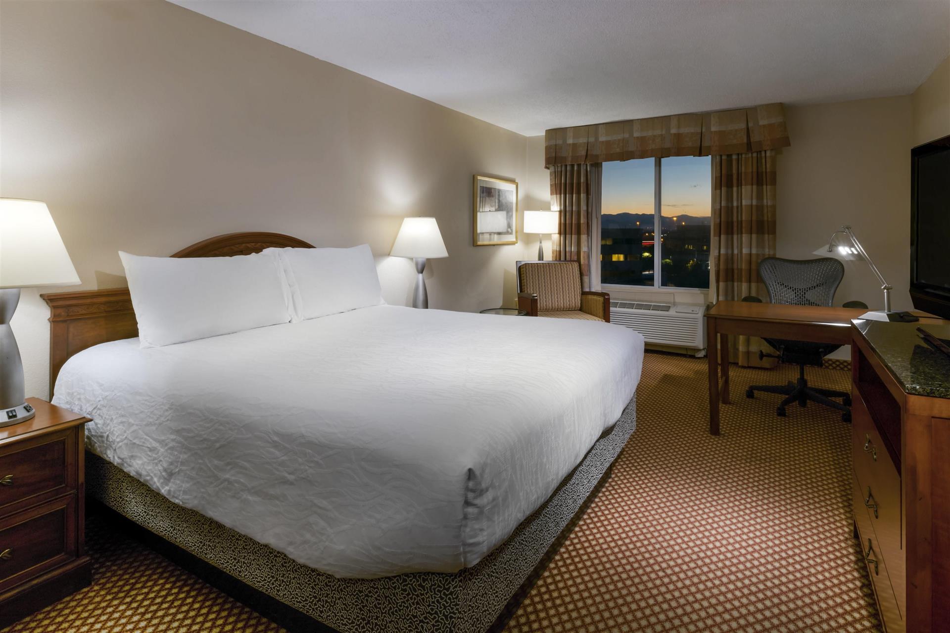 Hilton Garden Inn Denver Airport image