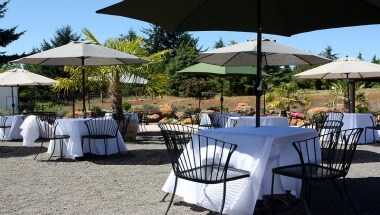 Cubanisimo Vineyards a Salem, OR