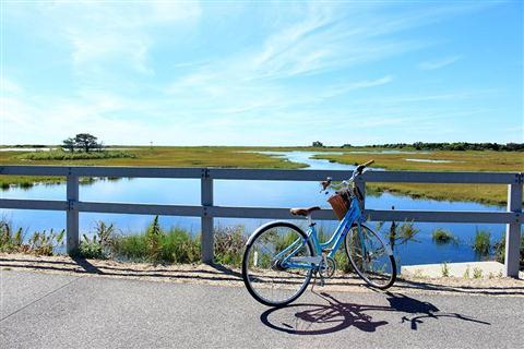 Cape Cod Shining Sea Bikeway