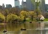 Central Park