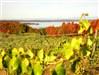 Old Mission Peninsula Wineries