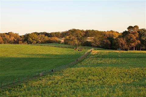 Natural Lands' Stroud Preserve