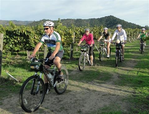 Napa Valley Bike Tour