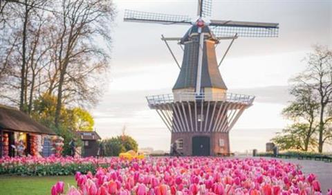 Keukenhof