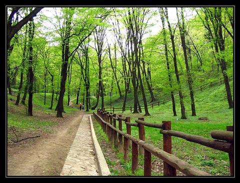 Košutnjak park-forest