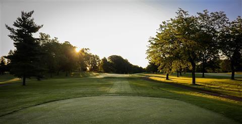 Golf Courses at Forest Park
