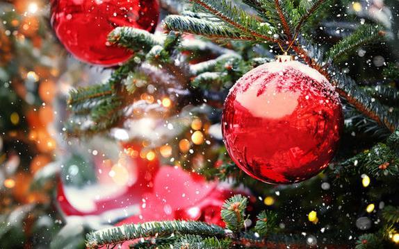 Unwrap Your Holiday Perks 图像