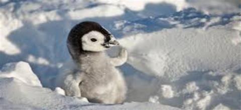 Hub for Natural Attractions,Wildlife and Research Stations