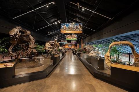 休斯敦自然科学博物馆-舒格兰