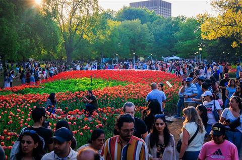 Canadian Tulip Festival