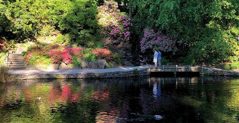 Crystal Springs Rhododendron Garden