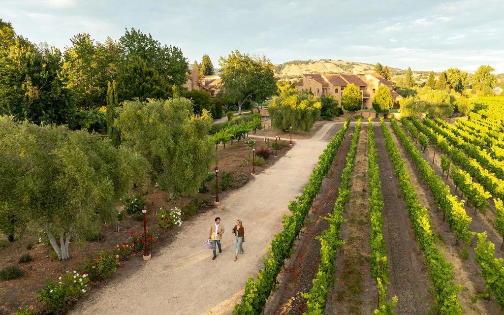 Master Account Incentive 图像