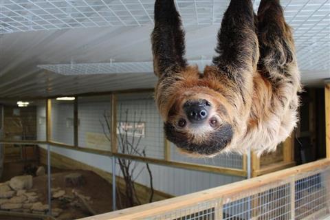 The Creature Conservancy