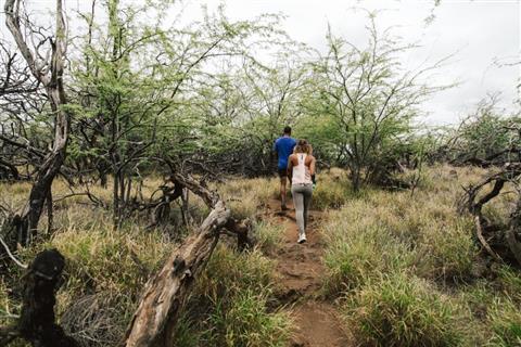 Puako Petroglyph Archaeological Preserve