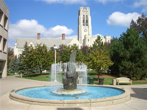 The University of Toledo