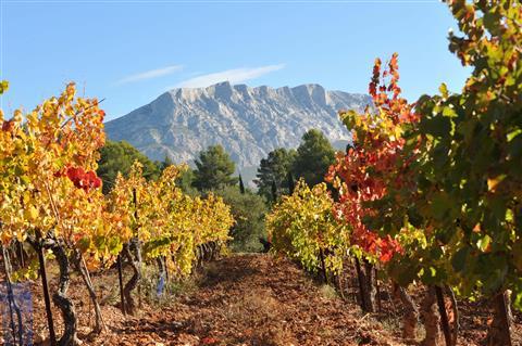 在周围的葡萄园品酒