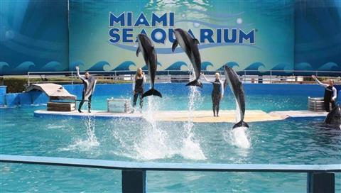 Miami Seaquarium