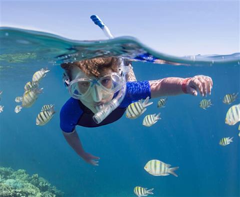 Excursiones y esnórquel para isleños