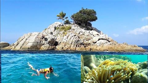 Waew Island Snorkeling