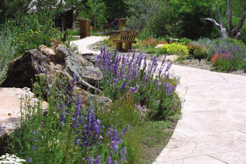 Betty Ford Alpine Gardens