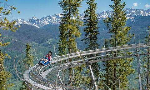 Mountain Coaster