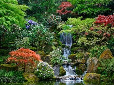 Portland Japanese Garden