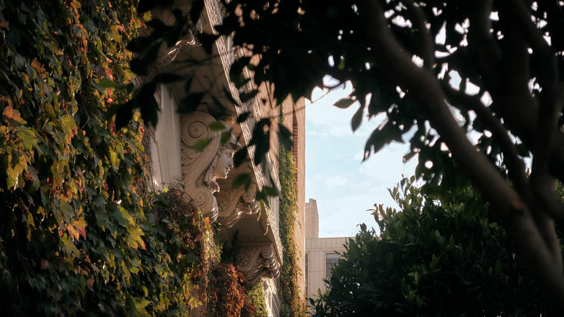 Изображение места проведения