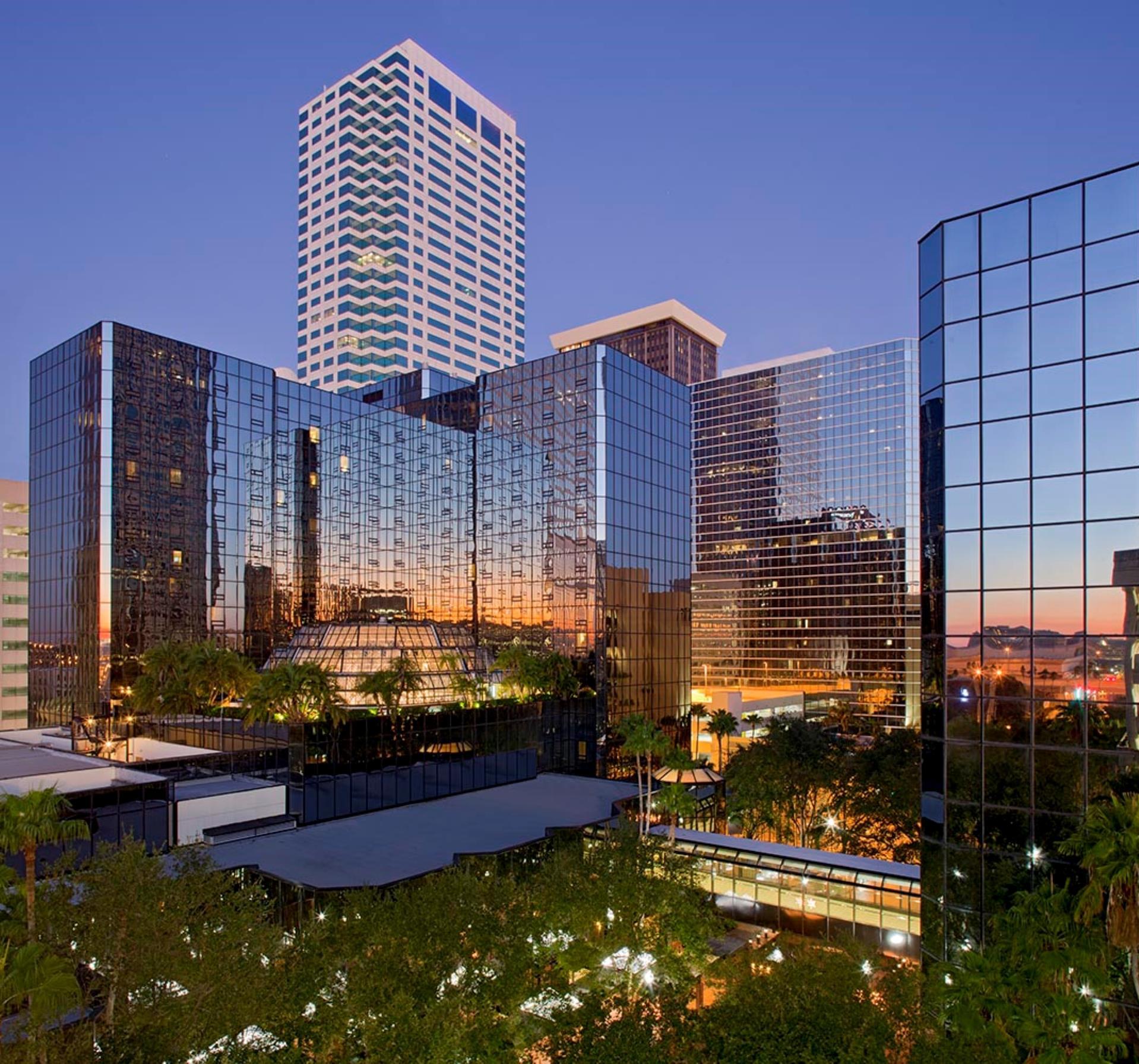 Hilton Tampa Downtown image