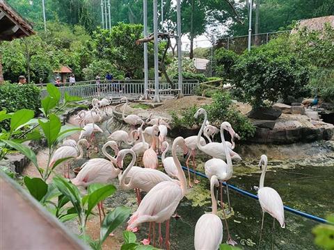 サイゴン動物園と植物園