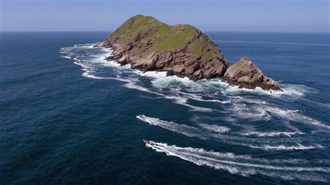 Coronado Islands, four jewels of Baja California