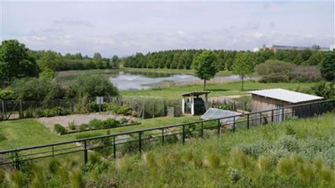 Walk around the Lake