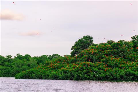 Caroni Bird Sanctuary