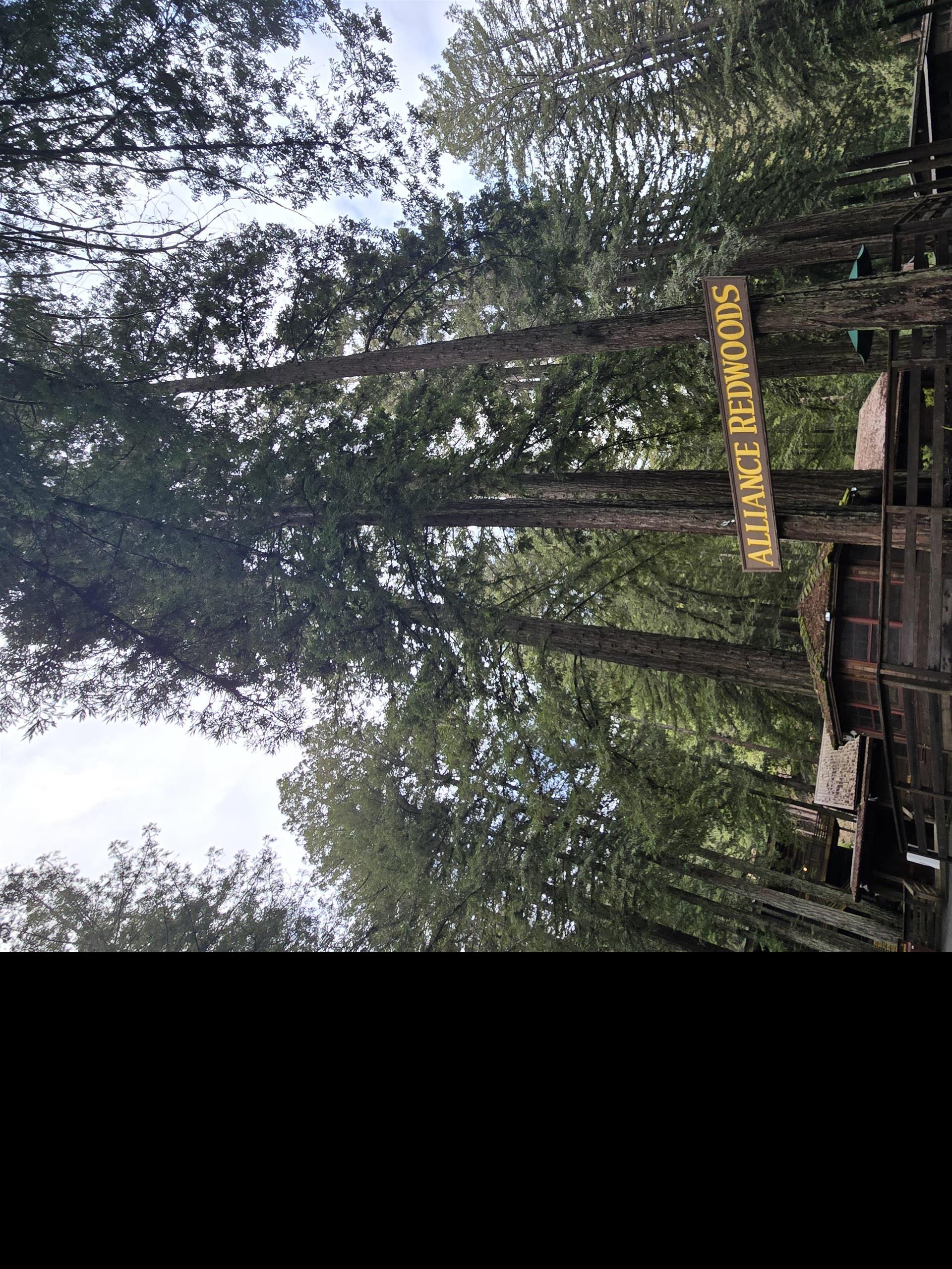 Alliance Redwoods Conference image