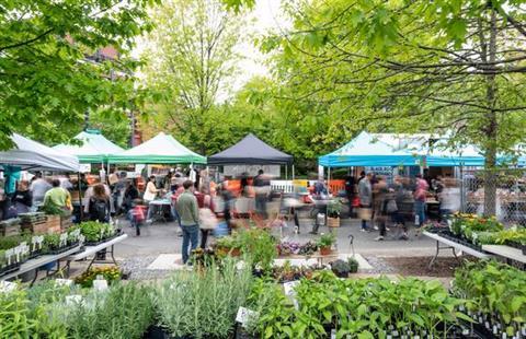 The Dupont Circle Farmers Market