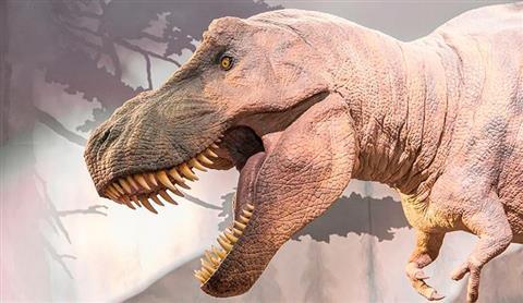 Natural History Museum