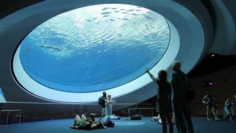 Frostmuseum der Wissenschaft