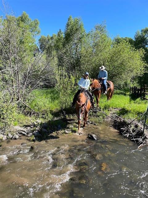 Horseback Riding at Three Forks