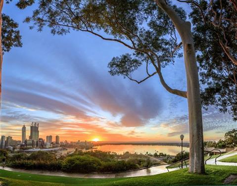Kings Park and Botanic Garden