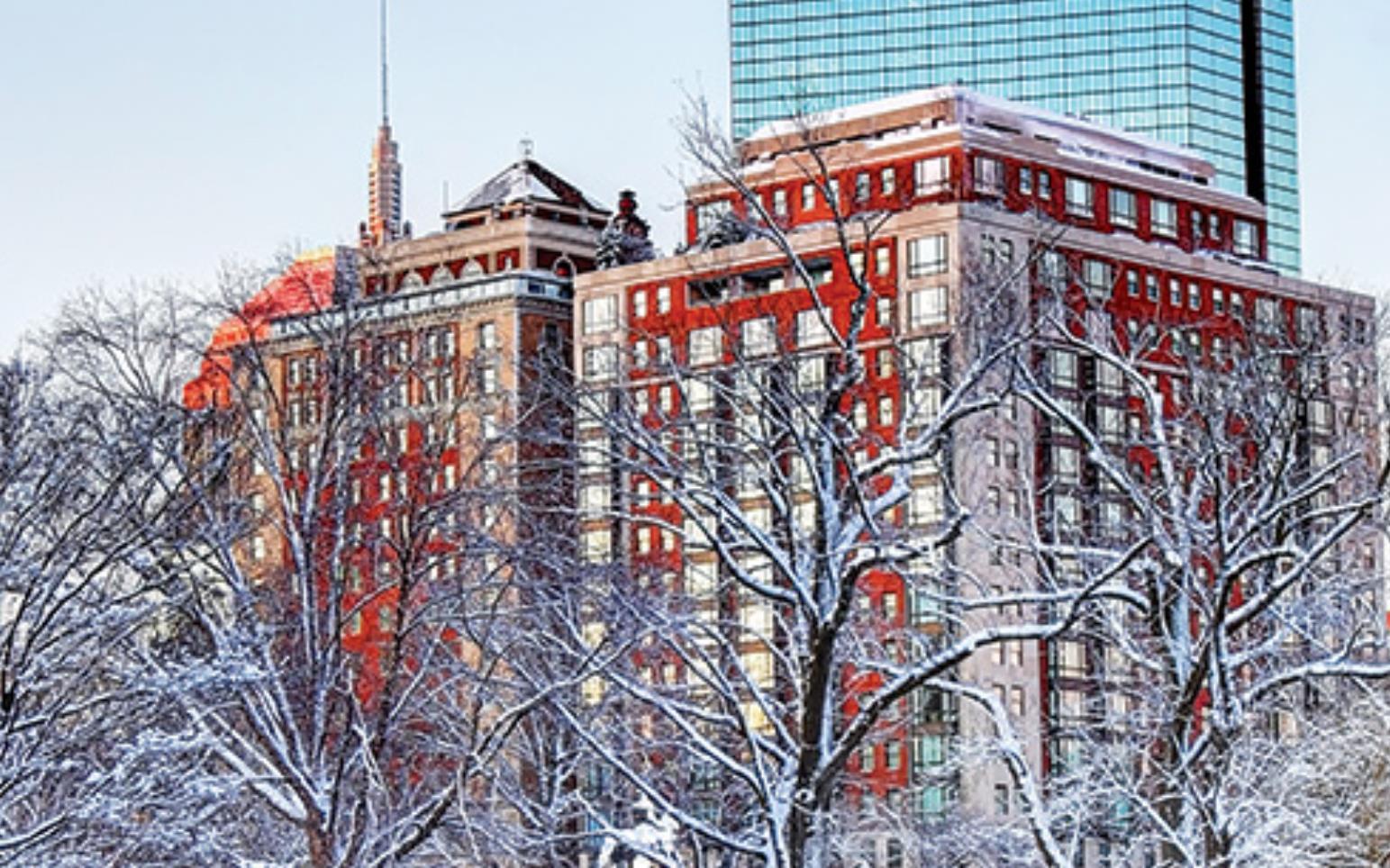 Discover Boston Winter Beauty & Save 10% image