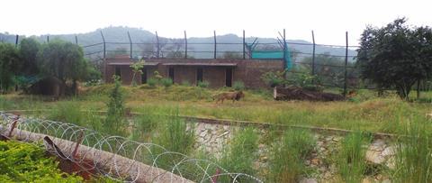 Nahargarh biologiska park